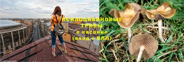 ПСИЛОЦИБИНОВЫЕ ГРИБЫ Армянск