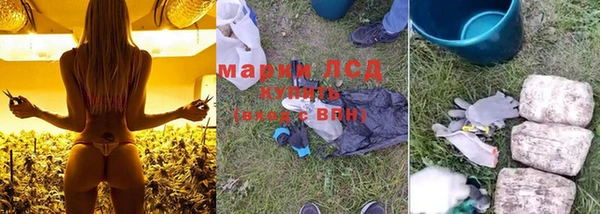 ПСИЛОЦИБИНОВЫЕ ГРИБЫ Армянск