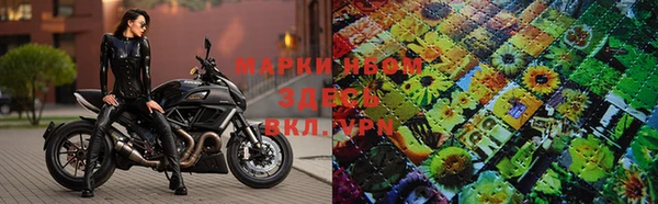 ПСИЛОЦИБИНОВЫЕ ГРИБЫ Армянск
