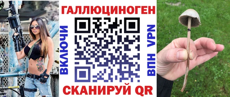 купить  сайты  Минусинск  Галлюциногенные грибы прущие грибы 